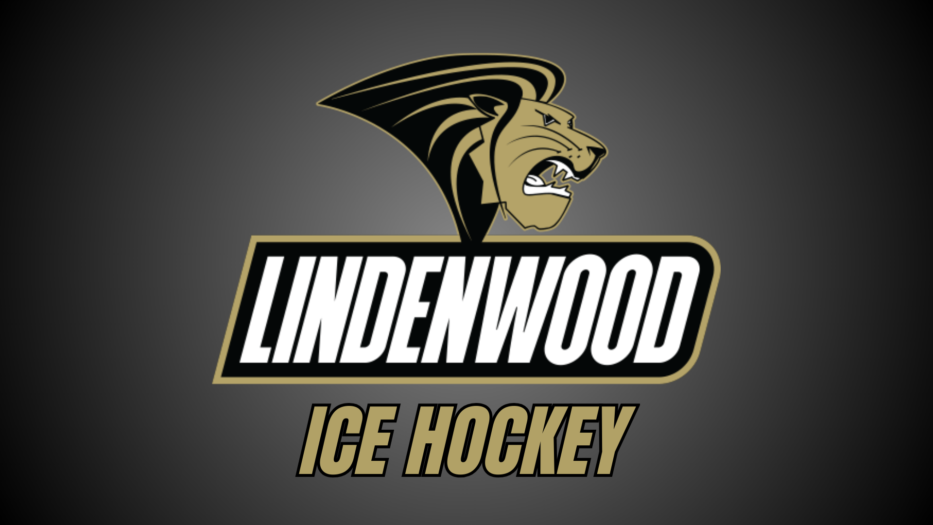 More Info for Lindenwood Women's Ice Hockey