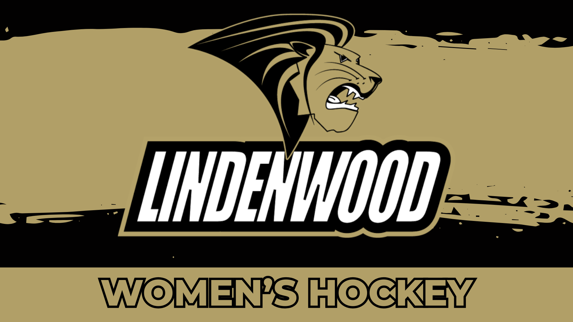 Lindenwood University vs. Mercyhurst University