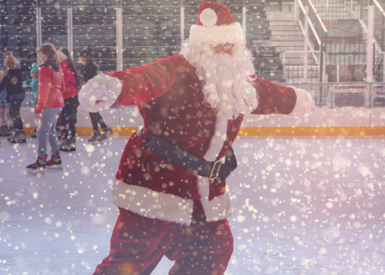 More Info for Santa Skate